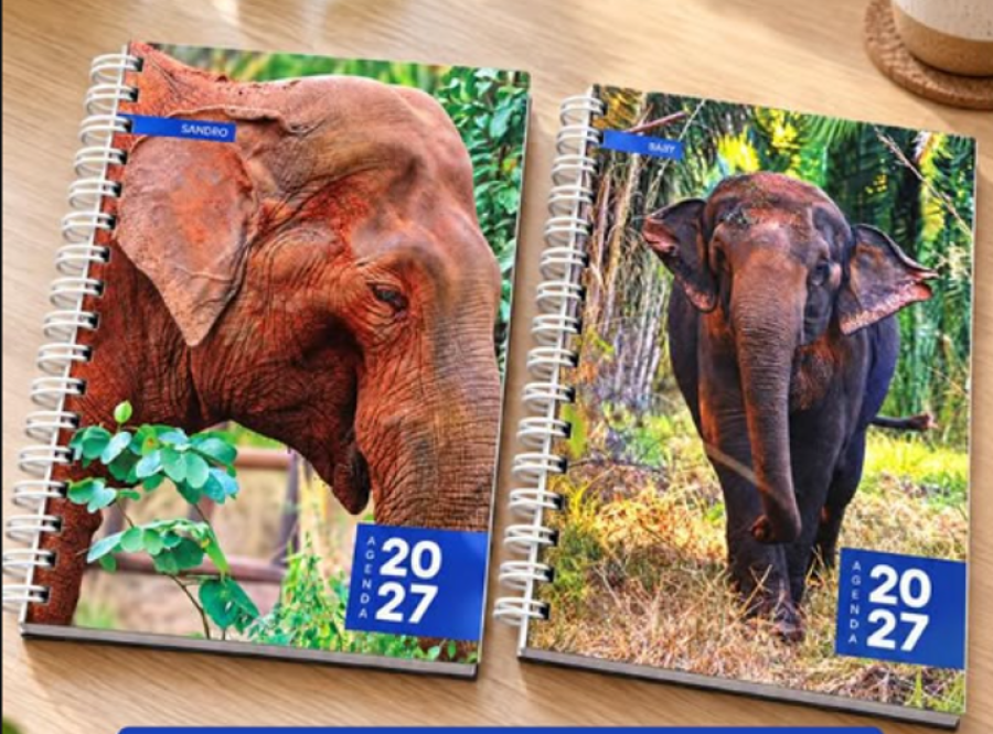 Elefante Sandro vira capa de agenda e calendário