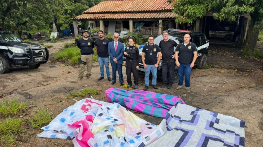 Polícia Civil e MP cumprem mandados em operação contra crimes ambientais