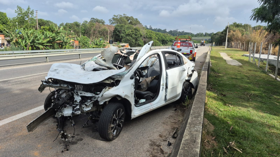 Cavalo solto na pista causa acidente e morte de motorista na Raposo Tavares 