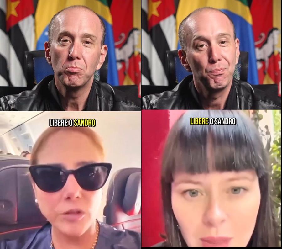 Manga reage a famosos que pedem liberação de elefante: 'vão lacrar em outro lugar'