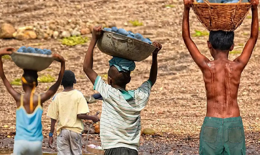 Brasil tem redução recorde na lista Piores Formas de Trabalho Infantil