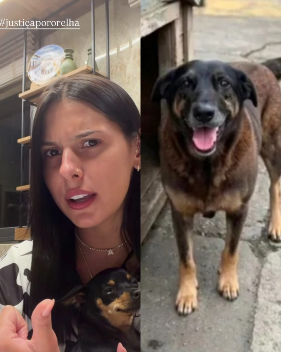 Ana Castela pede justiça por cão Orelha