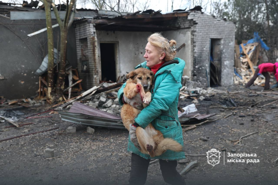 Rússia ataca abrigo de cães na Ucrânia; ao menos 13 morreram