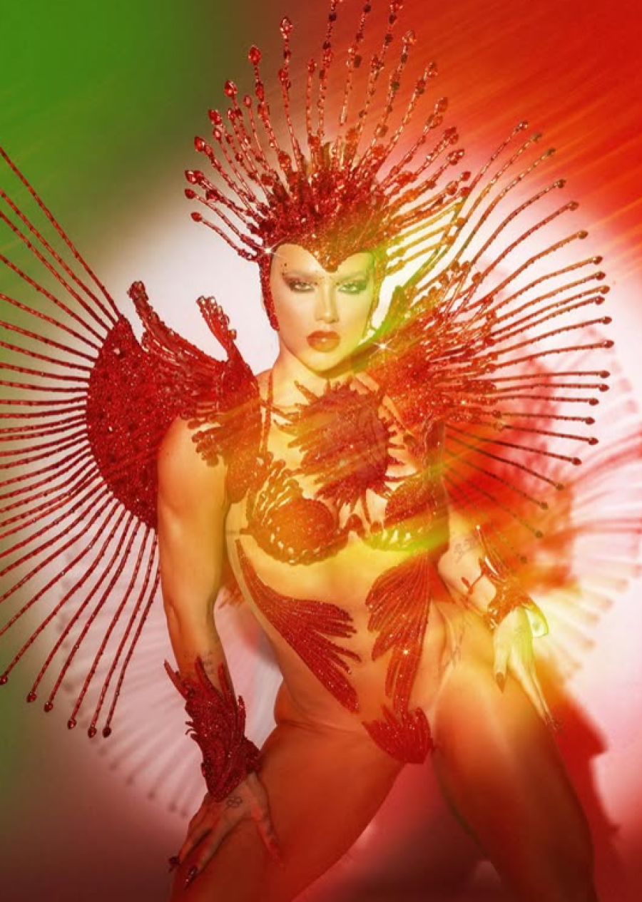 Carnaval no RJ: Virginia tem complicações com fantasia