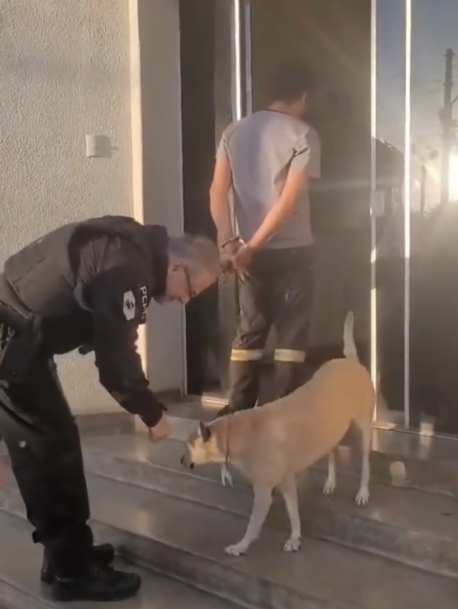 Delegado pausa prisão para acariciar cachorra