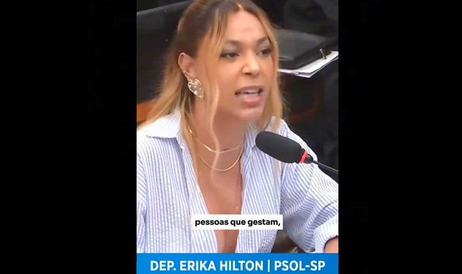 'Pessoas que gestam': veja fala de Erika Hilton que viralizou