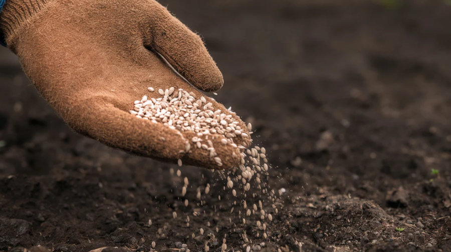 China restringe exportação de fertilizantes e pressiona mercado global