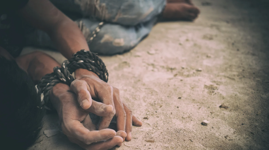 Amado Batista e BYD entram na 'lista suja' do trabalho escravo em nova atualização do governo