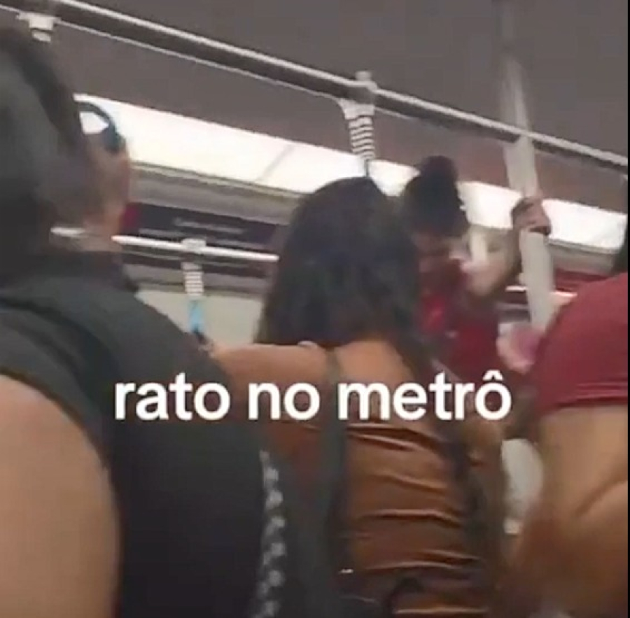 Rato invade metrô e causa desespero em passageiras no RJ
