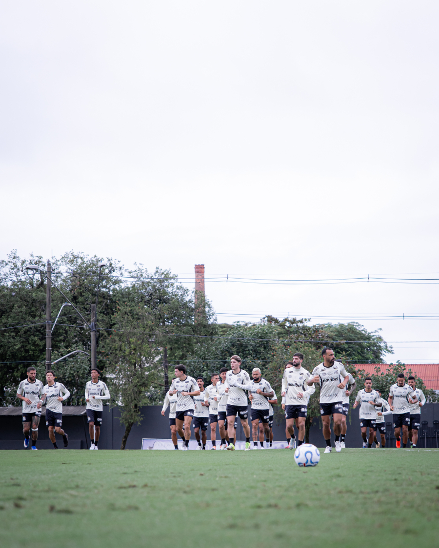 Santos planeja mudanças no elenco para o segundo semestre