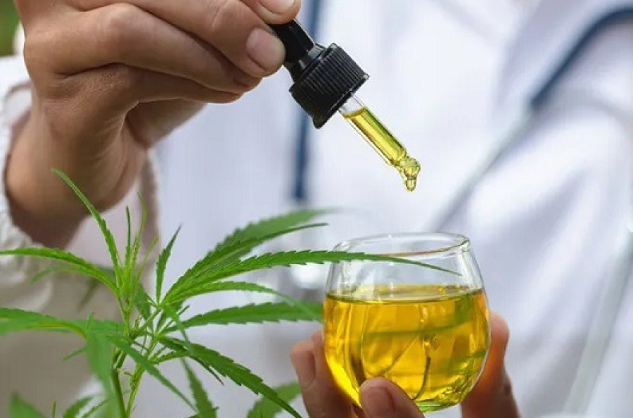 Mulheres de 45 a 64 anos lideram mercado de cannabis medicinal no país