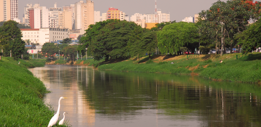 MPF pede suspensão das obras da Marginal Direita em Sorocaba por licença ambiental e área quilombola