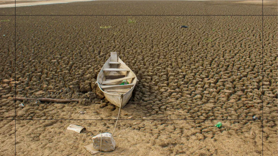 Brasil promete restaurar 163 mil km² de terras degradadas até 2030 