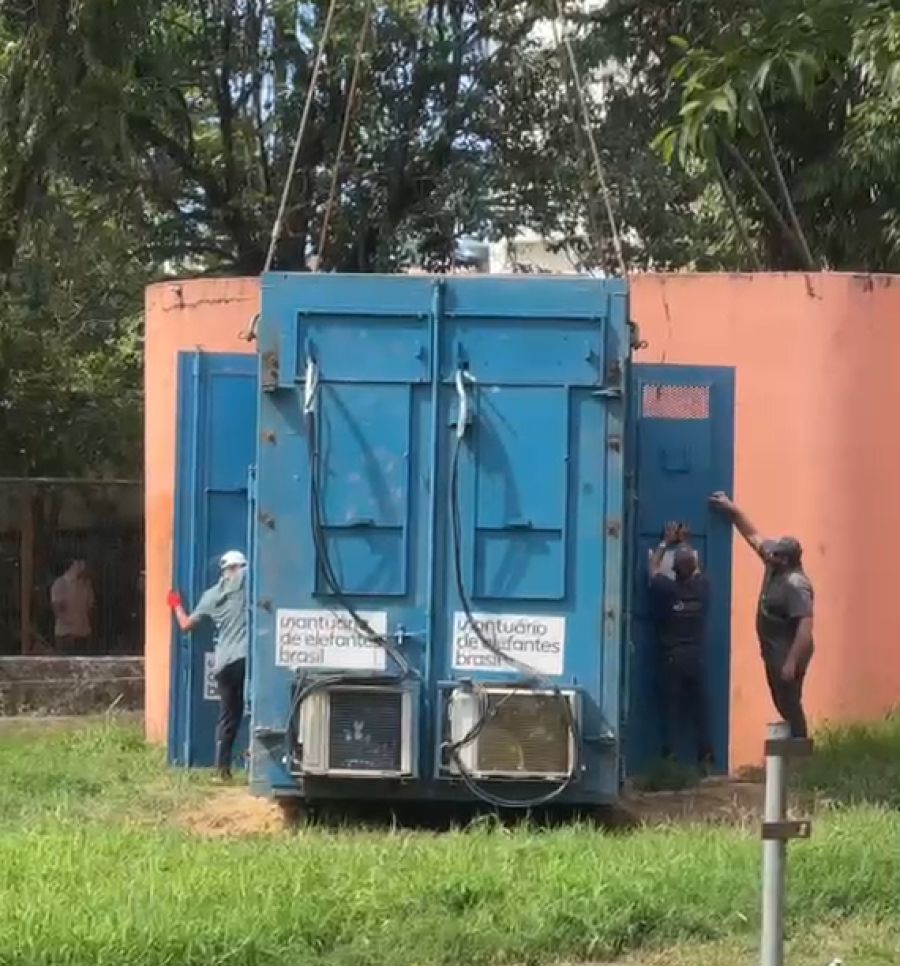 Elefante Sandro deixa zoológico de Sorocaba após 44 anos