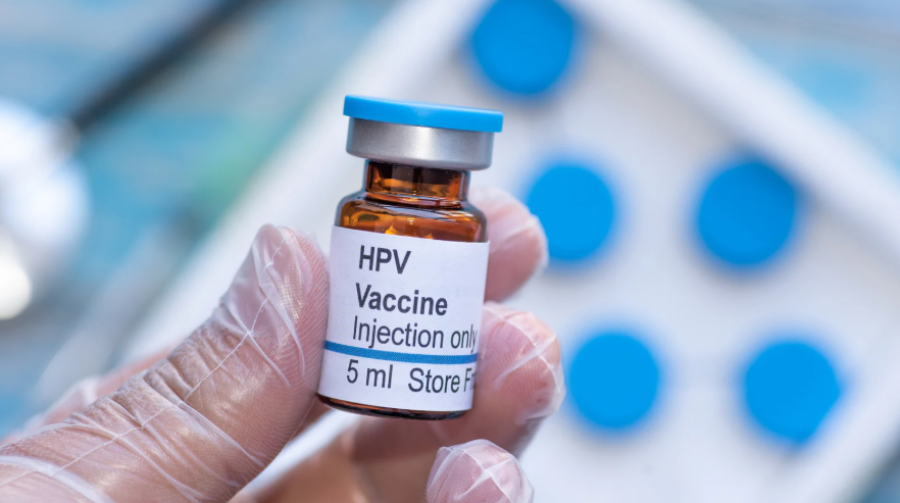 HPV: dose é indicada a vítimas de violência sexual a partir de 2 anos