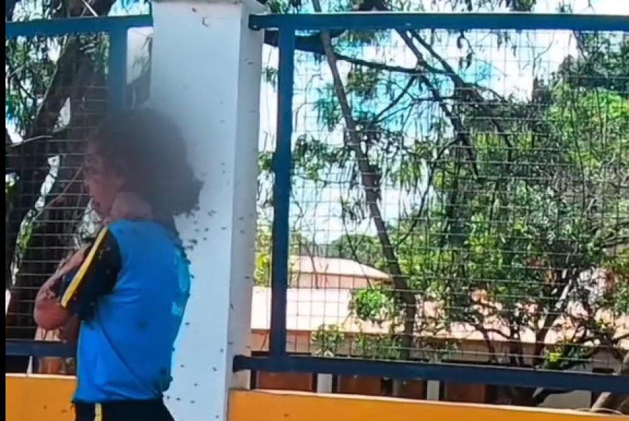 Motoboy enfrenta enxame, leva 40 picadas e salva menina atacada por mais de 100 abelhas