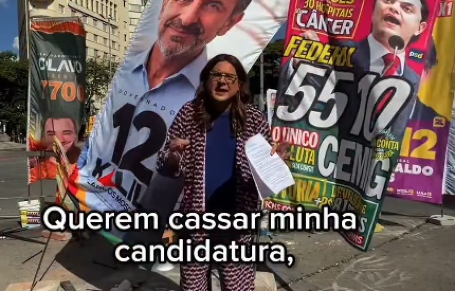 Duda Salabert é notificada por usar árvores na campanha